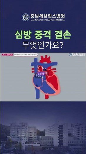 심장에 구멍이? 심방중격결손은 어떤 질환인가요? #심방중격결손