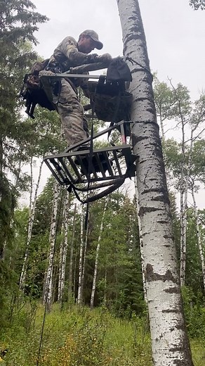 3.1K views · 686 reactions | Hunting in a tree stand climber #hunting #treestand | Nature Daddy | Facebook