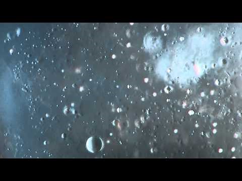 Amoeba proteus / DIC microscope 1250x