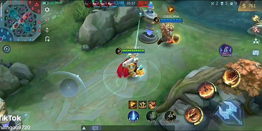 Multiplayer Online Battle Arena Gameplay Overview