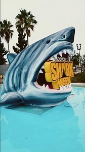 Discovery Channel’s Giant SHARK WEEK Display at SDCC 🦈