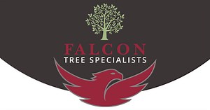 Contact Falcon Arb & Land | Tree Surgeons Essex - East Anglia