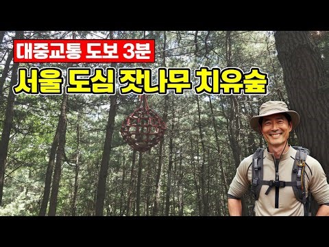 A 3-minute walk on public transportation! The "Phytoncide Pine Tree Healing Forest" in the heart ...