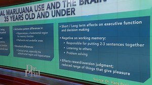 12K views · 217 reactions | How Marijuana Use Can Impact the Brain #DrPhil #marijuanaismedicine #marijuana | Dr. Phil | Facebook