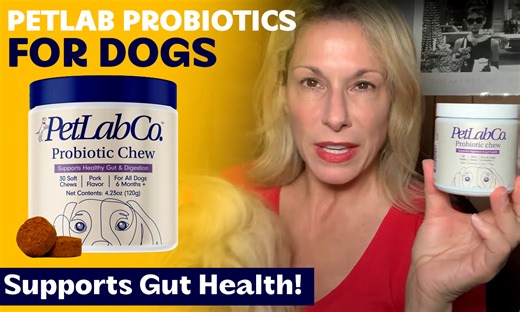 Watch PetLab Co. Probiotics for Dogs for Gut Health & Allergies! on Amazon Live