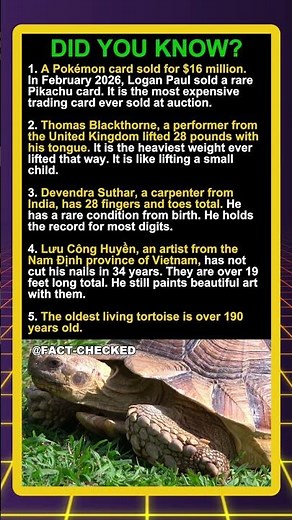 Mind-Blowing World Records You Won't Believe!