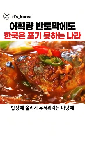 어획량 반 토막에도 한국은 예외라는 나라 #노르웨이고등어
