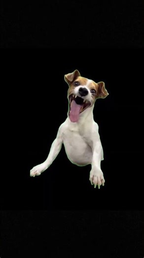 Enemy Shocked 🤯 #foryou #foryoupage #freefire #frefirehighlights #shorts