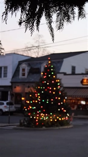 Locust Valley Office DGSIR on Instagram: "The holidays are in full swing in Locust Valley and we can’t help but feel lucky to have the best view on the block. 🎄 #LocustValley #danielgalesir #sothebysrealty"