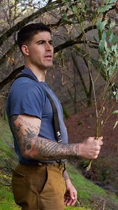 Australian Gum | Thoren "Thor" Bradley