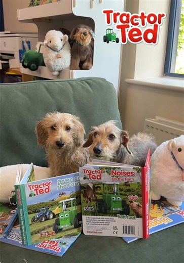 Happy National Read a Book Day! 📚 Midge and Dilly have been curled up all afternoon reading some of their favourite stories. Let us know your favourite Tractor Ted book and send us a photo of your little Tedlets reading it so we can share! 🚜 #nationalreadabookday #tractorted #tractorobsessed #tractorobsessedtoddler #tractorseries
