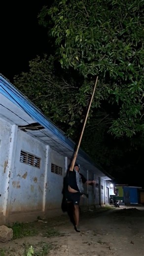 turtle dove's claw #shortvideo