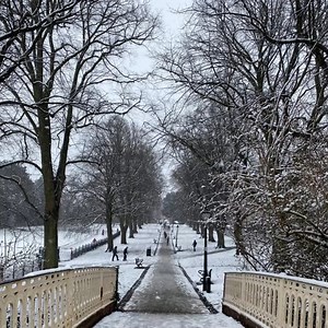 1.9K views · 30 reactions | A winter wonderland (in March...) | Bristol.Live | Facebook