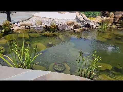 Large Koi pond with under gravel and external filtration