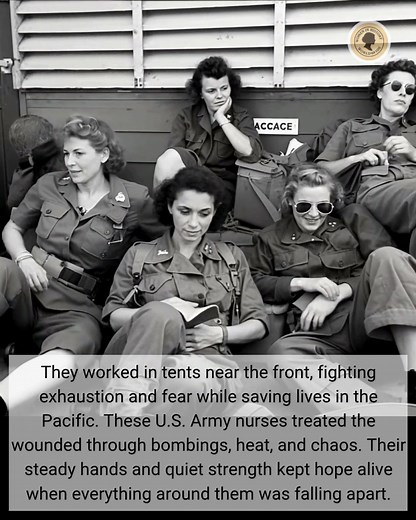 93K views · 3.9K reactions | They looked calm in the photo, but these...