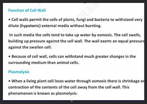 Function of Cell Wall Cell walls permit the cells of plants, fu... | Filo