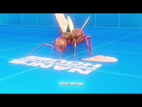 Why the Queen Ant Breaks Her Wings 🐜💔