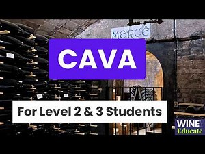 Cava Explained: Spanish Sparkling Wine Guide | Grapes, Quality Levels & How It's Made