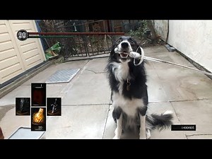 The Training of Sif continues