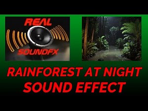 1 hour of Rainforest sounds at Night sound effect relaxing - realsoundFX