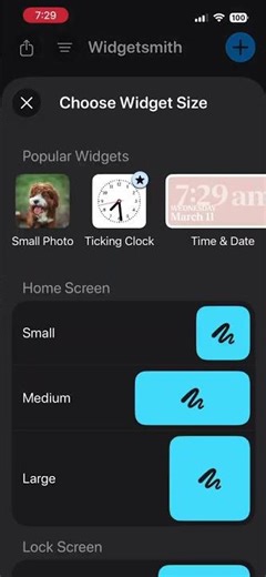 Tutorial on how to make widgets #model #widgetsmith