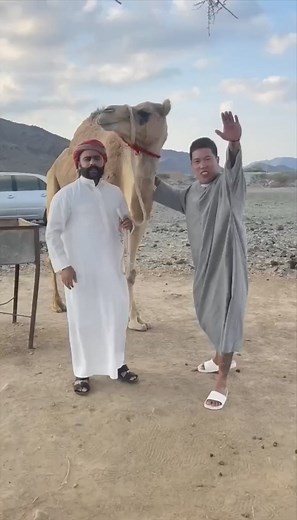 747K views · 10K reactions | #funnypost #funnyvideo #funnymoments #funnymemes #funnyreels #comedy | Stephanie | Facebook