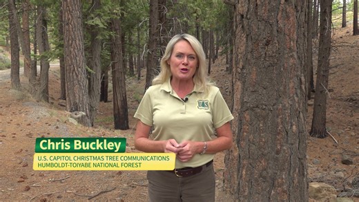 Calling all Nevada fourth graders! Want to light this year’s U.S. Capitol Christmas Tree in Washington, D.C.? Write an essay about what makes the Silver State special and you could be chosen to represent Nevada! Full contest information can be found here: https://www.fs.usda.gov/r04/humboldt-toiyabe/projects/capitol-christmas-tree-2025 #CapitolChristmasTree2025 | U.S. Forest Service-Humboldt-Toiyabe National Forest