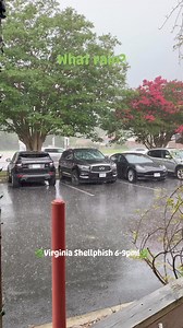 1.3K views · 24 reactions | We’re cozy and dry on our patio 路‍♀️ | Smoke - BBQ Restaurant & Bar | Facebook