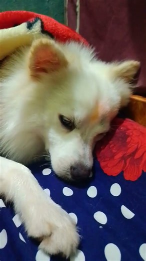 Ironic Enemies in Video Games #shorts