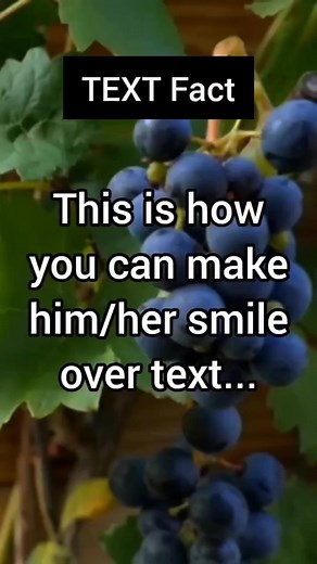 Did you know you can use a simple ‘reverse psychology’ technique to make your ex want you back? If you want to see how well this sneaky method actually works, just watch this very short video: Click Here👇 https://bit.ly/relationship-ex-back . . . . . . . . #relationshipstatus #womenquotes #wordsofadvice #relationships101 #quotesabouthim #dailyquotes #relatablequote #womanquote #relationshipadvise | Relationship Dating Quotes