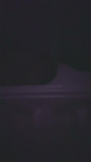 I forgot the refrigerator was turned off😭