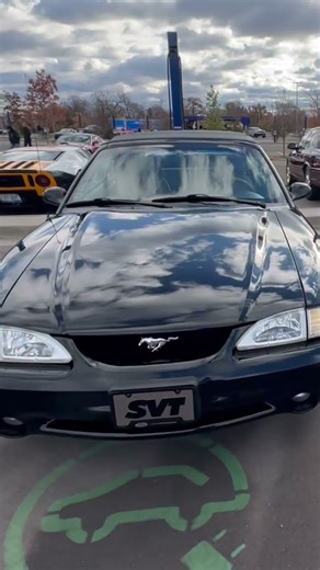 1995 Ford Cobra STV #automobile #rap #car #shortsvideo #fordmustang