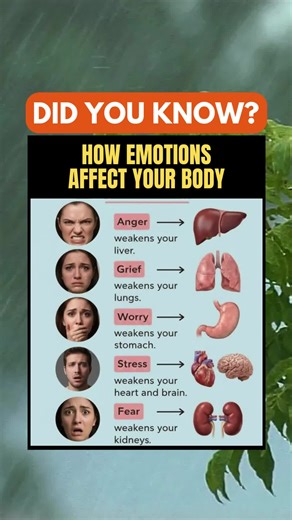 How Your Emotions Impact Your Organs 😧🧠 - Your emotions don’t just affect your mood—they can influence your entire body. This powerful chart shows how feelings like anger, grief, and stress may impact specific organs. A must-see for anyone on a healing or self-care journey. 💓🫁 #MindBodyConnection #EmotionalHealth #HolisticWellness