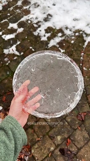 Can you answer the last one? #curiosity #facts #didknow #randomfacts #knowledge #factsyoudidntknow #factsoverfeelings