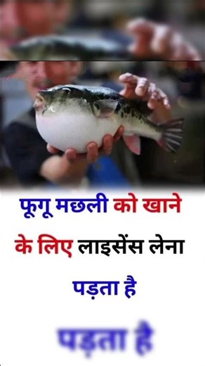 #fish #worldsgk #licence