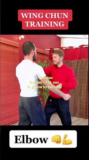 ✅ Maîtrise le WING CHUN de CHEZ TOI en 15 min par jour !