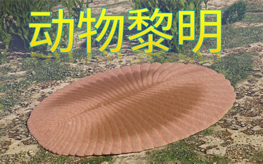 【鬼谷闲谈】迷失的乐园，杀出的黎明，埃迪卡拉纪的太初之战