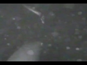 20 reactions | Infrared Aqua-Vu video, Pike after dark on a Lindy Slick Jig. | Aqua-Vu | Facebook