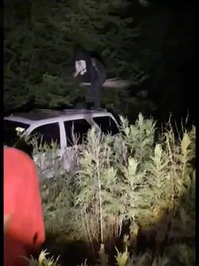 1.6M views · 8.4K reactions | Ay mi madre ‍♂️! UNA BRUJA 慄‍♀️ #BRUJA #viralvideo #viral #reels #reelsvideoシ #parati #short #brujas #casa #par #destacar_reels #reelsfbシ #siguemeparamascontenido | Rodríguez Record | Facebook