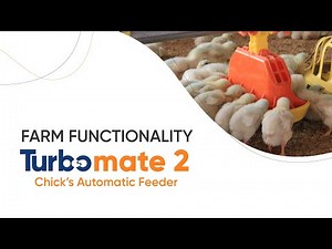 Turbomate 2 | On-farm Functionality of Chick's Automatic Feeder | Sephnos