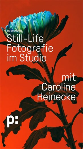 p:berlin on Instagram: "Still-Life Fotografie im Studio – Lerne, wie du aus Alltagsgegenständen faszinierende Bildwelten erschaffst. In diesem zweitägigen Workshop begleiten dich Caroline Heinecke, international ausstellende Fotografin mit Fokus auf konzeptionelle Still-Life- und Fine-Art-Arbeiten, und Andreas Marx, erfahrener Studio- und Produktfotograf. Gemeinsam vermitteln sie dir die Kunst der Lichtsetzung, Farb- und Materialgestaltung sowie Komposition und Bildaufbau. Praxisnah im Studio ar