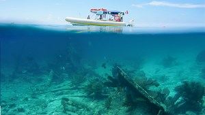 Biscayne National Park showcases natural wonders not far from Miami | Travel