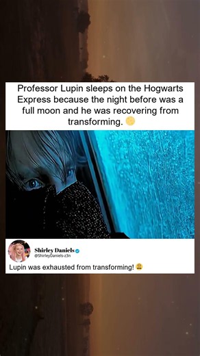 Professor Lupin’s Full Moon Recovery on Train