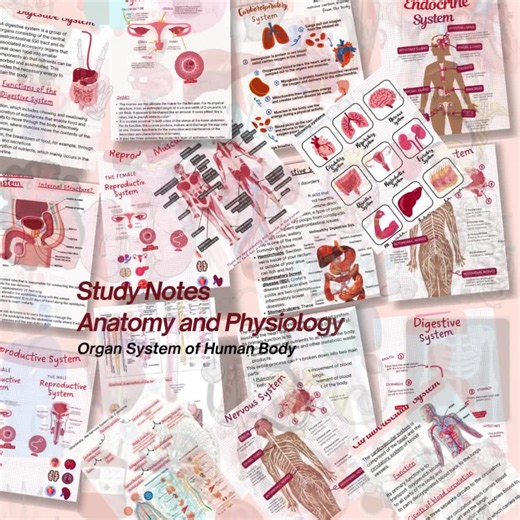 Concise Guide for Human Organ Systems : Anatomy and Physiology Notes (PDF) - Etsy UK