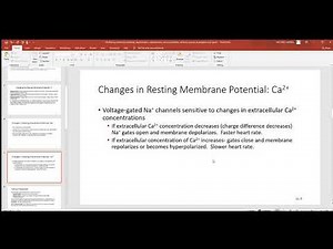 130 Resting membrane potential, depolarization, repolarization, action potentials, refractory period