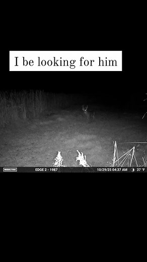 David Bailey on Reels