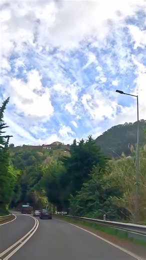 And Just Like That… Madeira! 😍🤯 #madeira #travel #explore #scenicdrive #scenicroad #fypシ