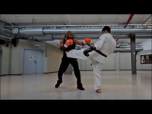 What Happens if you Kick a BOXER?! Karateka vs Boxer