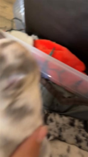 Hector Rodriguez on Reels