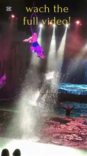 gymnastics on water circus#viral#shorts#gymnast#circus#performance #unbelievable#unexpected#wow